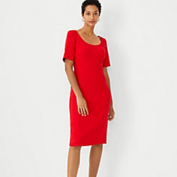 ANN TAYLOR NWT Scoop Neck Sheath Dress 4/6 - Picture 1 of 6
